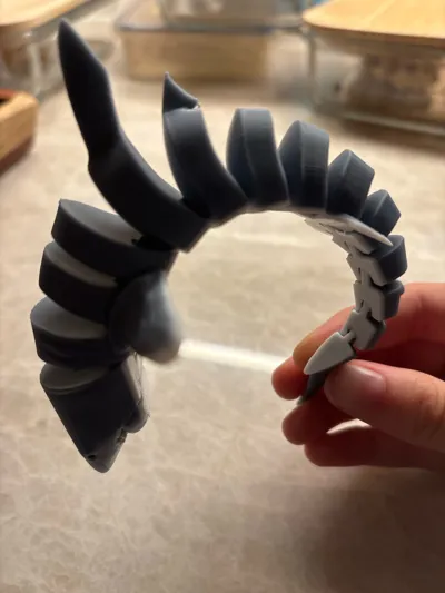 https://makerworld.bblmw.com/makerworld/model/1940576/2085650/ratings/3476cee0-d7d6-11f0-9cda-bf3cc69d2542.jpg