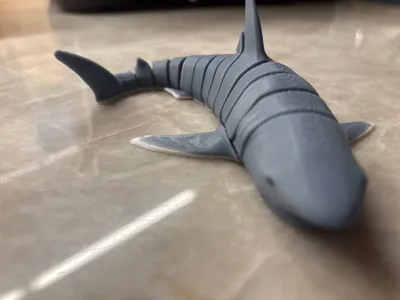 https://makerworld.bblmw.com/makerworld/model/1940576/2085650/ratings/3476f5f0-d7d6-11f0-9cda-bf3cc69d2542.jpg