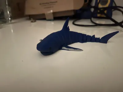 https://makerworld.bblmw.com/makerworld/model/1940576/2085650/ratings/da0da300-c4ef-11f0-94fa-c9a11695b6c2.jpg