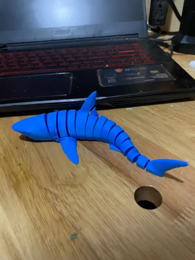 https://makerworld.bblmw.com/makerworld/model/1940576/2087851/ratings/03c80560-c8c8-11f0-9b14-9b3d08b012e9.jpg