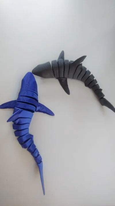 https://makerworld.bblmw.com/makerworld/model/1940576/2087851/ratings/addf5640-e34c-11f0-a918-e5b8e33384d7.jpg
