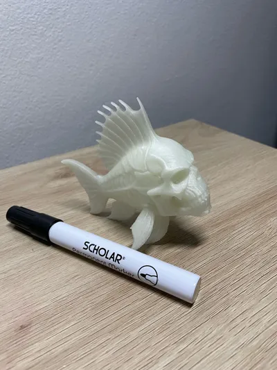 https://makerworld.bblmw.com/makerworld/model/1941610/2085350/ratings/322504b0-b8df-11f0-af92-df77d651046b.jpg