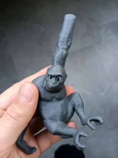 https://makerworld.bblmw.com/makerworld/model/1942030/2085831/ratings/52375ad0-bb07-11f0-9b5d-915126ab06df.jpg