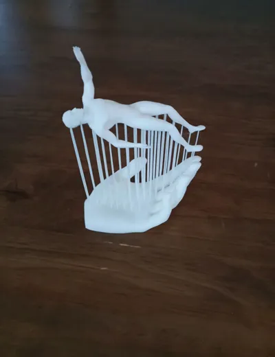 https://makerworld.bblmw.com/makerworld/model/1944032/2088208/ratings/b9b7a470-c549-11f0-9d7f-431559013c9f.jpg