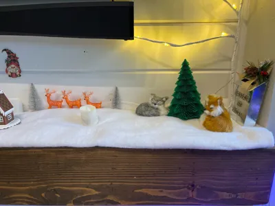 https://makerworld.bblmw.com/makerworld/model/1949917/2103809/ratings/c8f9a180-d39b-11f0-934f-71695f910824.jpg