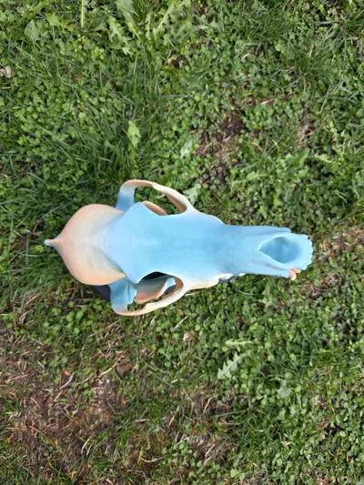 https://makerworld.bblmw.com/makerworld/model/195045/217770/ratings/09216160-b837-11f0-8333-6d73be363f86.jpg