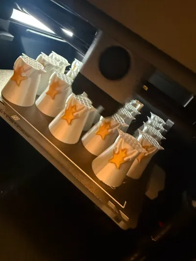 https://makerworld.bblmw.com/makerworld/model/1950541/2096297/ratings/579fe030-c26b-11f0-a146-991260a66015.jpg