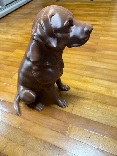 https://makerworld.bblmw.com/makerworld/model/1951173/2096583/ratings/ded834f0-d0d8-11f0-85ce-9bde010ea1c4.jpg