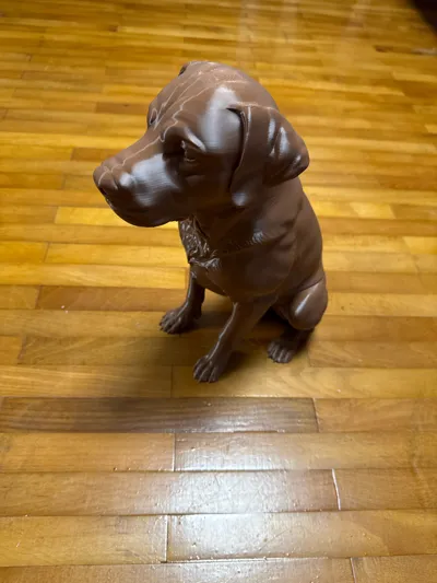 https://makerworld.bblmw.com/makerworld/model/1951173/2096583/ratings/deddb330-d0d8-11f0-85ce-9bde010ea1c4.jpg