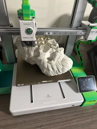 https://makerworld.bblmw.com/makerworld/model/195526/216165/ratings/1270e860-698d-11f0-83a2-2b7768298fb8.jpg