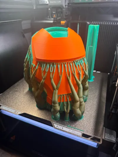 https://makerworld.bblmw.com/makerworld/model/1956798/2124133/ratings/ed1a8ea0-ef78-11f0-a7d2-01fc3e03d109.jpg