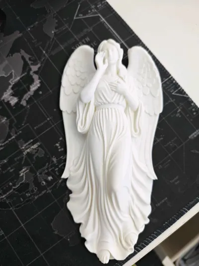 https://makerworld.bblmw.com/makerworld/model/1960352/2107049/ratings/b808b7b0-d72b-11f0-ad4c-ede85120d783.jpg