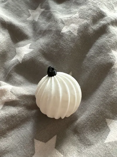 https://makerworld.bblmw.com/makerworld/model/1960423/2107133/ratings/dd54a780-c098-11f0-b66a-37c25b062bf8.jpg
