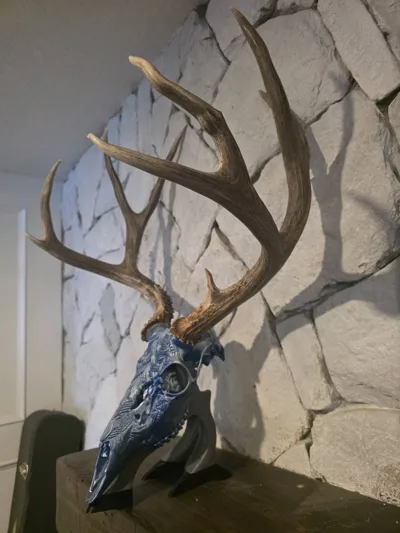https://makerworld.bblmw.com/makerworld/model/1960786/2107577/ratings/32591640-eb22-11f0-84fa-a34f00a231f1.jpg