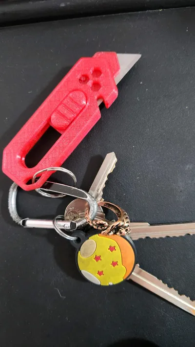 https://makerworld.bblmw.com/makerworld/model/1961502/2108385/ratings/ff4b1d10-f009-11f0-8298-3de9d4624e77.jpg