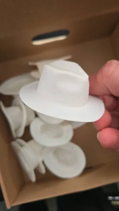 https://makerworld.bblmw.com/makerworld/model/1962499/2109513/ratings/456a2b70-f96e-11f0-b435-8d34a30ea16a.jpg