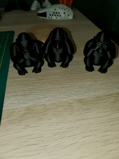 https://makerworld.bblmw.com/makerworld/model/1963001/2110128/ratings/1c9e9310-d13d-11f0-b4cb-516cc06ec751.jpg