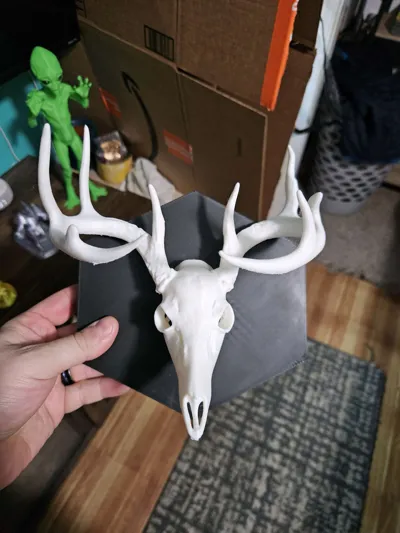 https://makerworld.bblmw.com/makerworld/model/1963864/2111214/ratings/082c7a20-de83-11f0-9db9-396fc0566b45.jpg