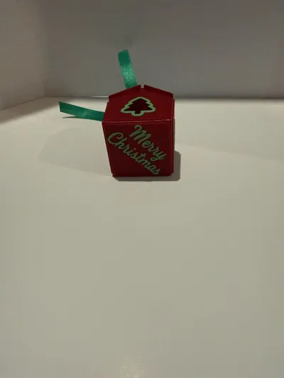 https://makerworld.bblmw.com/makerworld/model/1964281/2113702/ratings/c4a9e120-c9b0-11f0-bdb1-87e4618d9494.jpg