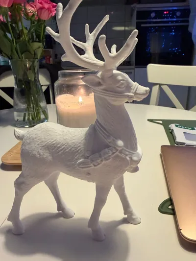 https://makerworld.bblmw.com/makerworld/model/1964454/2111943/ratings/64c73b10-c19d-11f0-973a-695c09b074ef.jpg