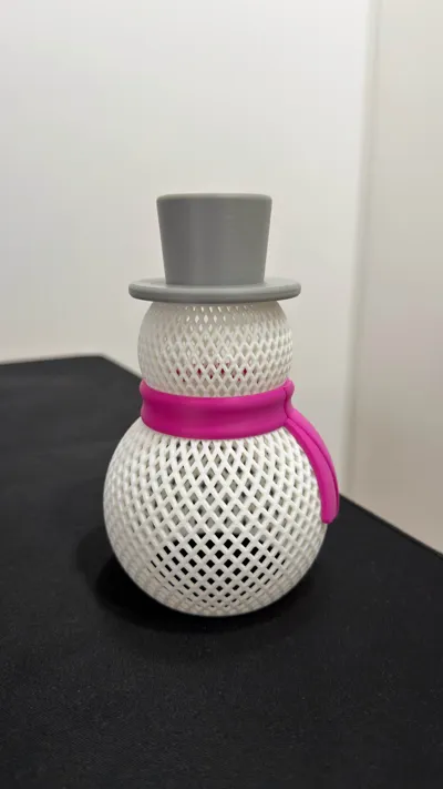 https://makerworld.bblmw.com/makerworld/model/1966269/2113871/ratings/ffb0ebd0-be19-11f0-a158-15d060b9d2f7.jpg