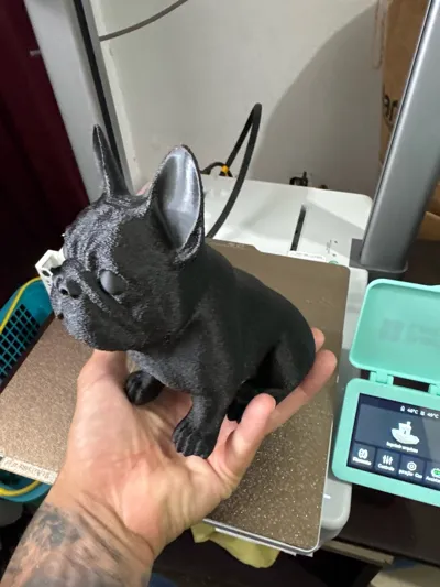 https://makerworld.bblmw.com/makerworld/model/1966387/2114009/ratings/91f066c0-db60-11f0-9ff5-8d533e235a13.jpg