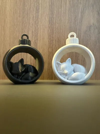 https://makerworld.bblmw.com/makerworld/model/1966938/2114642/ratings/ee54aa80-df4c-11f0-bd1f-2f27ef45472d.jpg