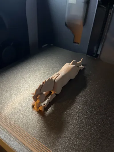 https://makerworld.bblmw.com/makerworld/model/1970662/2118831/ratings/491ff050-f2f3-11f0-899e-67d1fcfe776e.jpg