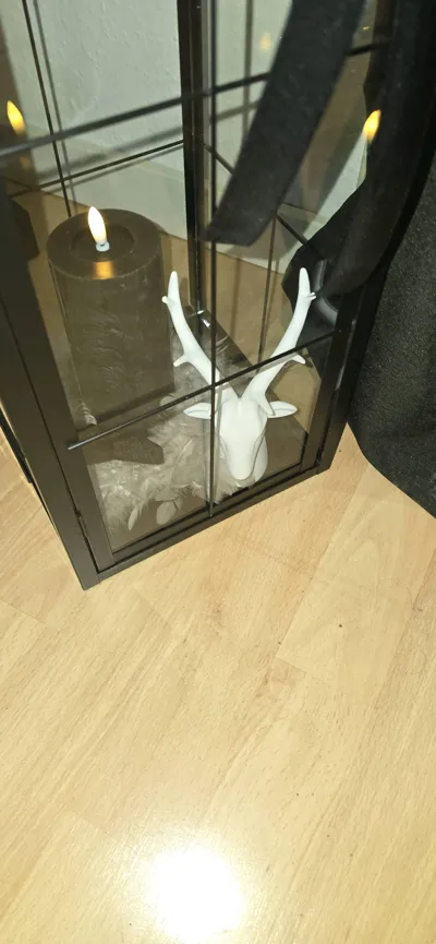 https://makerworld.bblmw.com/makerworld/model/1972196/2120623/ratings/cafac560-d51f-11f0-ac9b-017c91c3fbc3.jpg
