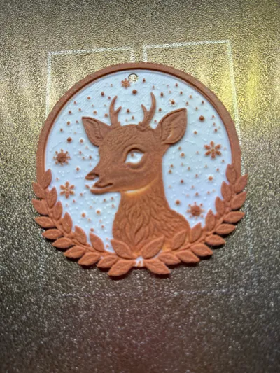 https://makerworld.bblmw.com/makerworld/model/1977599/2127096/ratings/31a640e0-d922-11f0-985f-bb81576fe732.jpg