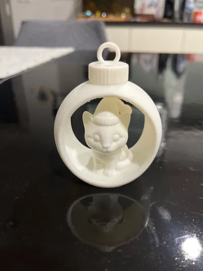 https://makerworld.bblmw.com/makerworld/model/1977894/2127400/ratings/5e0810d0-c204-11f0-8567-7f8dd504f85f.jpg