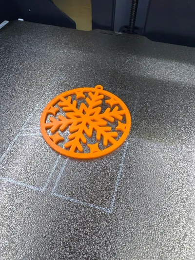 https://makerworld.bblmw.com/makerworld/model/1978353/2127884/ratings/7454f790-bdae-11f0-a2ea-a1d28210e821.jpg