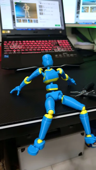 https://makerworld.bblmw.com/makerworld/model/1982486/2132747/ratings/75bce5c0-cd35-11f0-9c07-95b048103167.jpg