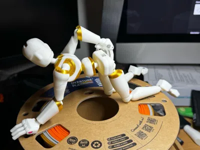 https://makerworld.bblmw.com/makerworld/model/1982486/2132747/ratings/a34847c0-e1ec-11f0-9e95-c1069a23c71a.jpg