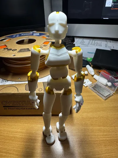 https://makerworld.bblmw.com/makerworld/model/1982486/2132747/ratings/a3486ed0-e1ec-11f0-9e95-c1069a23c71a.jpg