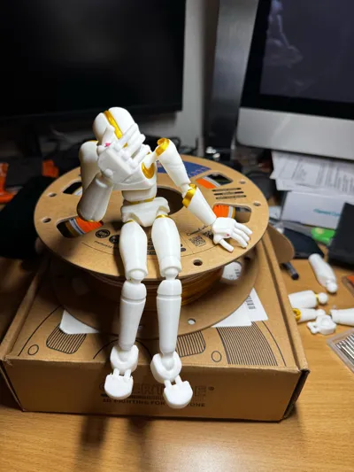 https://makerworld.bblmw.com/makerworld/model/1982486/2132747/ratings/a3531d30-e1ec-11f0-9e95-c1069a23c71a.jpg