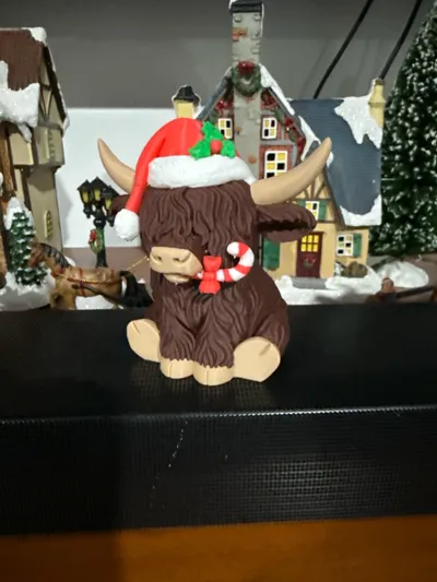 https://makerworld.bblmw.com/makerworld/model/1986010/2138293/ratings/4733e5c0-e3b3-11f0-92b4-198372f0595c.jpg