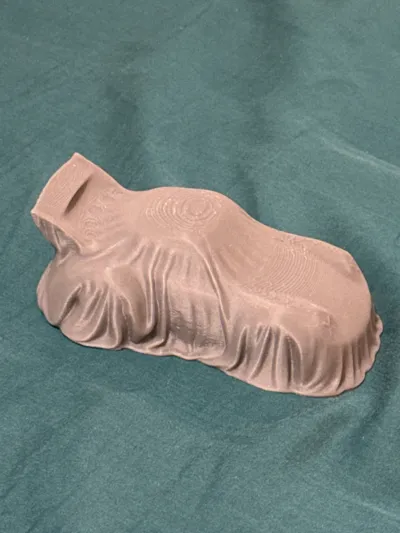 https://makerworld.bblmw.com/makerworld/model/1986029/2137045/ratings/6c96db00-e0df-11f0-a55f-8b286b980a95.jpg