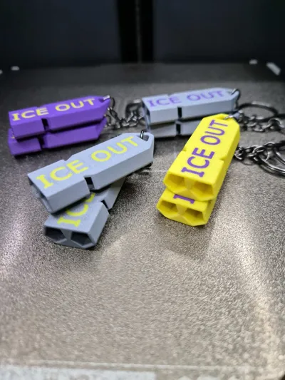 https://makerworld.bblmw.com/makerworld/model/1986369/2137344/ratings/0a161880-fc0d-11f0-8211-ebd08731a028.jpg