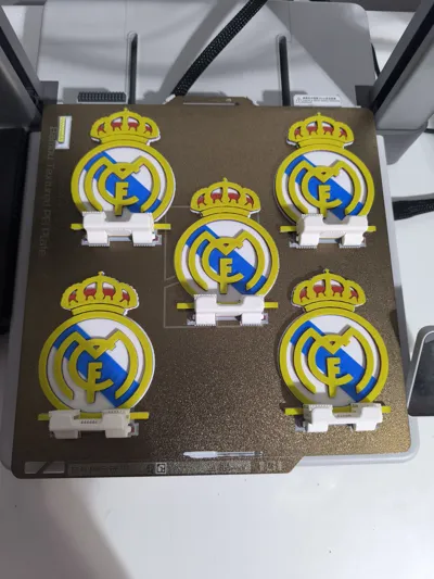 https://makerworld.bblmw.com/makerworld/model/198829/219427/ratings/92a78950-ffc8-11ef-8b10-f7a561591515.jpg