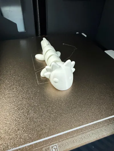 https://makerworld.bblmw.com/makerworld/model/198885/1083794/ratings/e29e72a0-d373-11f0-91dc-e32d9b4f937a.jpg