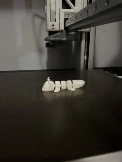 https://makerworld.bblmw.com/makerworld/model/198885/230539/ratings/cbd77a50-70c5-11f0-b5b5-7709663242bf.jpg