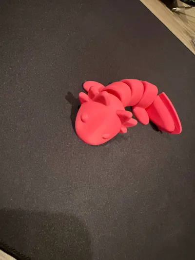 https://makerworld.bblmw.com/makerworld/model/198885/233622/ratings/e9143510-f99e-11f0-9d65-6d85665f381f.jpg
