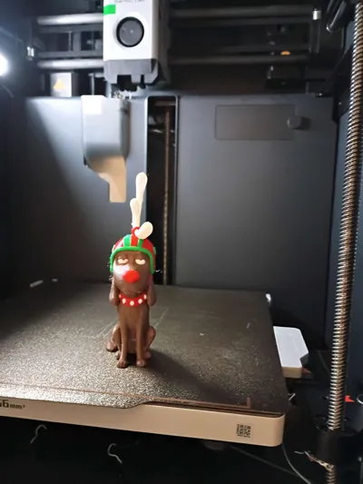 https://makerworld.bblmw.com/makerworld/model/1989081/2144984/ratings/b0220ed0-c7b7-11f0-aba0-b3f0cebca0c7.jpg