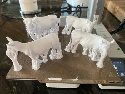 https://makerworld.bblmw.com/makerworld/model/1989426/2140853/ratings/fa411960-cfa1-11f0-b173-85470866ed49.jpg