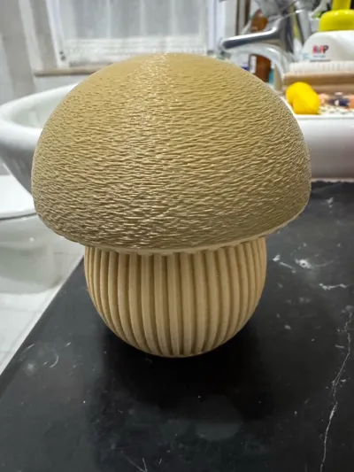 https://makerworld.bblmw.com/makerworld/model/1990225/2141753/ratings/b65653f0-ea8b-11f0-9d20-6bad063f6d57.jpg