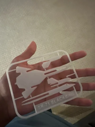 https://makerworld.bblmw.com/makerworld/model/199343/226381/ratings/3bcdd200-7e3b-11f0-957b-bf41ee14af75.jpg