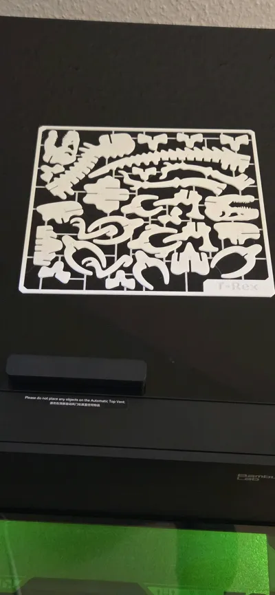 https://makerworld.bblmw.com/makerworld/model/199388/227912/ratings/08f88b90-da84-11f0-899b-cd1e9ca11afb.jpg