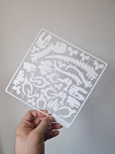 https://makerworld.bblmw.com/makerworld/model/199388/227912/ratings/c47dd010-123d-11f0-ac3a-eba241b620f3.jpg