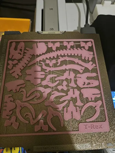 https://makerworld.bblmw.com/makerworld/model/199388/238622/ratings/f679a580-c6ab-11f0-a1e5-593a7724d5fb.jpg